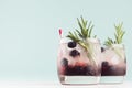 Fresh arctic liquors with ice cubes, blueberry, rosemary, straw in two glasses on white wood table and pastel green wall.