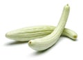 Fresh Armenian cucumbers isolated on white