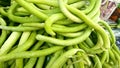 Fresh Armenian cucumbers Royalty Free Stock Photo