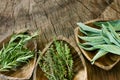 Fresh aromatic herbs