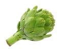 Fresh Artichoke Royalty Free Stock Photo