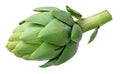 Fresh artichoke