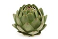 Fresh artichoke Royalty Free Stock Photo