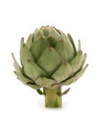 Fresh artichoke Royalty Free Stock Photo