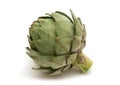 Fresh artichoke Royalty Free Stock Photo