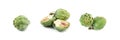 Fresh Artichoke, Green Artichokes, Raw Edible Cynara Flower Royalty Free Stock Photo