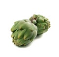 Fresh Artichoke, Green Artichokes, Raw Edible Cynara Flower Royalty Free Stock Photo