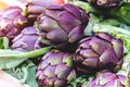 Artichoke