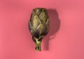 Fresh Artichoke isolated on pink background Royalty Free Stock Photo