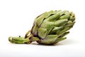 Fresh artichoke isolated on a white background Royalty Free Stock Photo