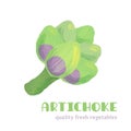 Fresh artichoke isolated on white background. Royalty Free Stock Photo