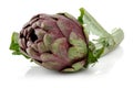 Fresh artichoke isolated on white background Royalty Free Stock Photo