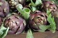 Fresh artichoke on italian stall