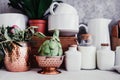 Fresh artichoke, rustic kitchen interior,