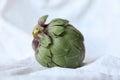 Fresh artichoke on white background. Whole green artichoke mockup. Horizontal. Royalty Free Stock Photo