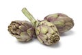 Fresh artichokes Royalty Free Stock Photo