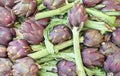 fresh artichokes also called Carciofi Royalty Free Stock Photo