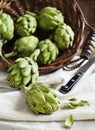Fresh artichokes in the basket Royalty Free Stock Photo