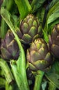 Fresh artichokes at farmers market Royalty Free Stock Photo