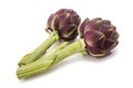 Fresh artichokes Royalty Free Stock Photo