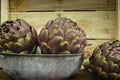 3 fresh artichokes green-purple flower head, on wooden background Royalty Free Stock Photo