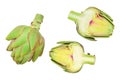 Fresh Artichokes and half isolated on white background closeup. Top view. Flat lay, Royalty Free Stock Photo