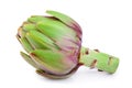 Fresh Artichokes isolated on white background closeup Royalty Free Stock Photo