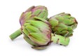 Fresh Artichokes isolated on white background closeup Royalty Free Stock Photo