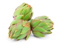 Fresh Artichokes isolated on white background closeup Royalty Free Stock Photo