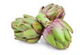 Fresh Artichokes isolated on white background closeup Royalty Free Stock Photo