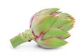 Fresh Artichokes isolated on white background closeup Royalty Free Stock Photo