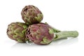 Fresh artichokes isolated on white background Royalty Free Stock Photo