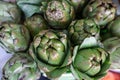 Fresh artichokes for sale at farmer`s market. Royalty Free Stock Photo