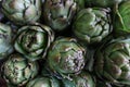 Fresh artichokes for sale at farmer`s market. Royalty Free Stock Photo