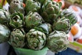 Fresh artichokes for sale at farmer`s market. Royalty Free Stock Photo