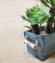 Fresh Artificial Flowers and Plants in wooden pot colur Blue