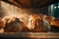 Fresh Artisan Bread Loaves Baking in a Hot Bakery Oven Royalty Free Stock Photo