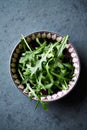 Fresh arugula in a bowl Royalty Free Stock Photo