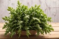 Fresh arugula leaves in bowl on wooden table, closeup.