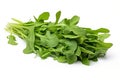 Fresh arugula leaves isolated on white background