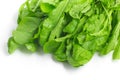 Fresh arugula leaves Royalty Free Stock Photo