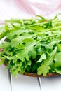 Fresh arugula leaves on plate Royalty Free Stock Photo