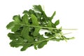 Fresh arugula leaves on white background