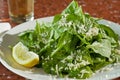 Fresh arugula salad