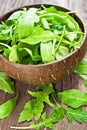 Fresh arugula salad Royalty Free Stock Photo