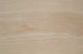 Ash tree wood texture Royalty Free Stock Photo