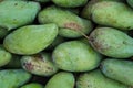 Fresh asia tropical green mangoes fruit display and sell on organic outdoor farmer market Royalty Free Stock Photo