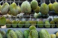 Fresh Asian Durian on display at a vendors street stall.