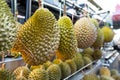 Fresh Asian Durian on display at a vendors street stall.