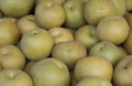 Fresh Asian Pears Royalty Free Stock Photo